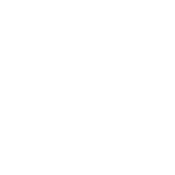 Cambridge YLE (Starters/ Movers/ Flyers)